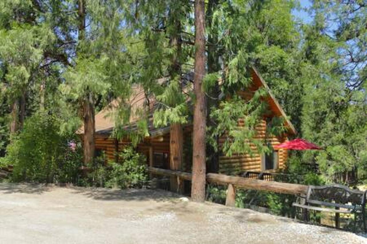 Eagles Nest - Natural Log Cabin With Guest House Idyllwild Exterior foto