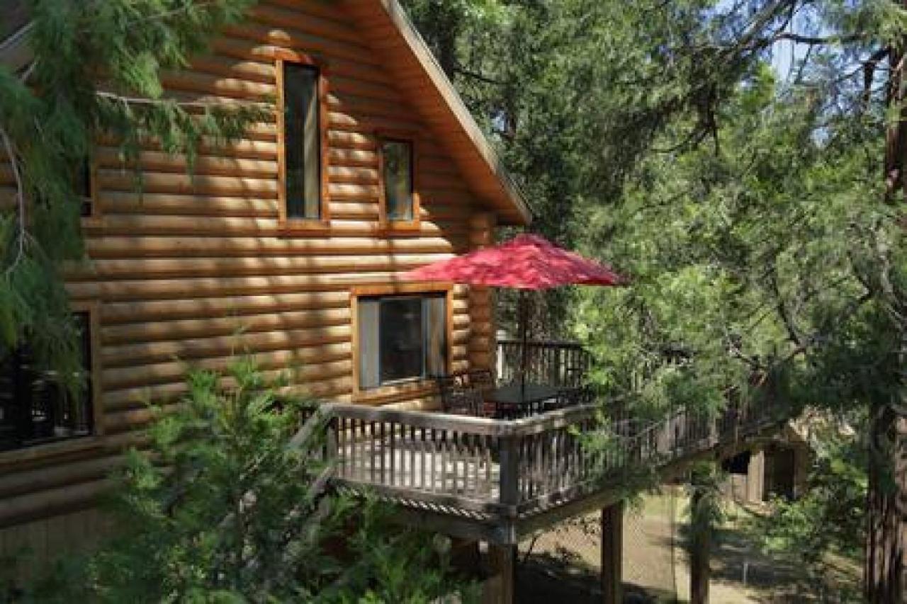 Eagles Nest - Natural Log Cabin With Guest House Idyllwild Exterior foto
